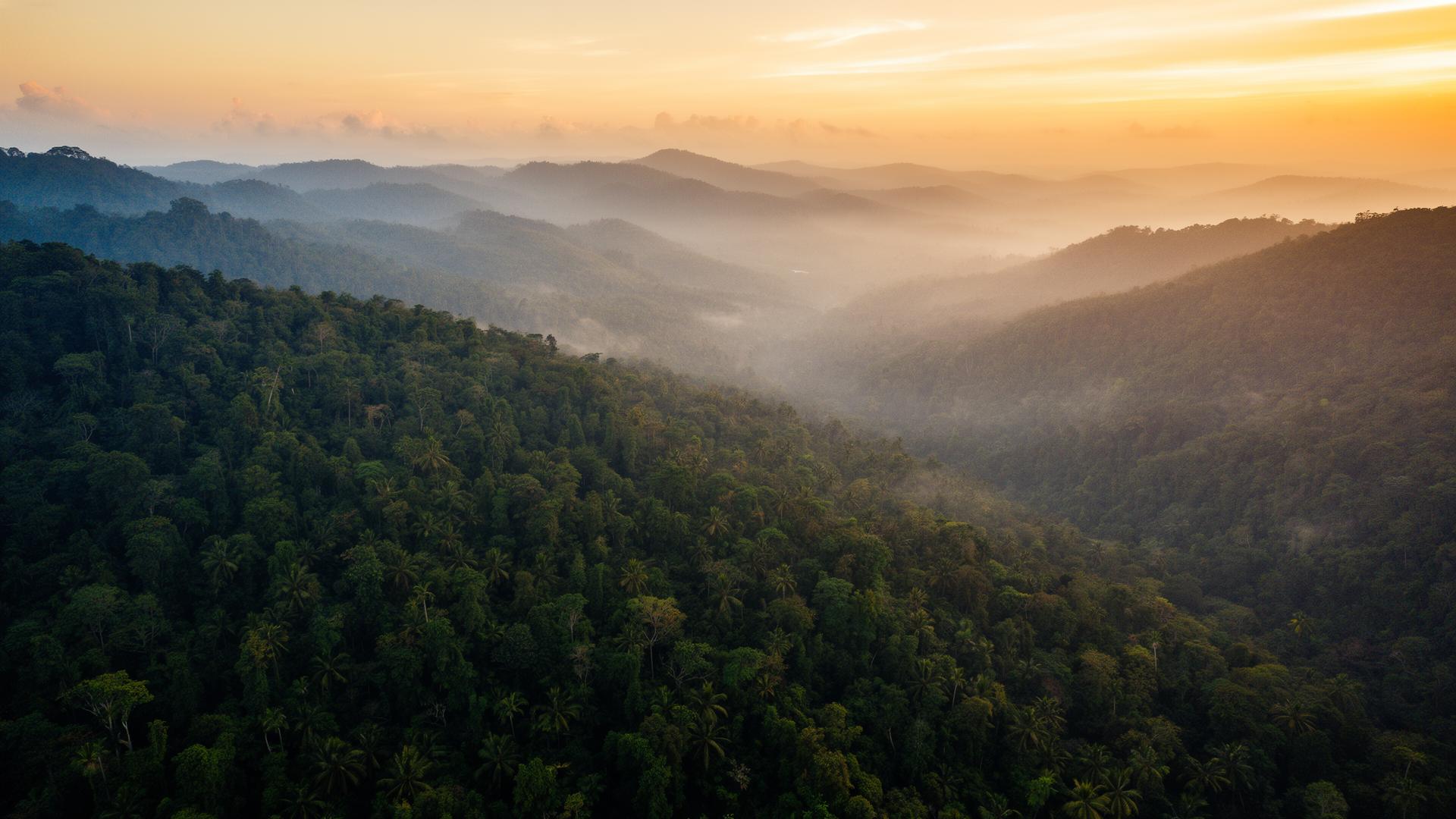 Paisagem de montanhas tropicais ao amanhecer